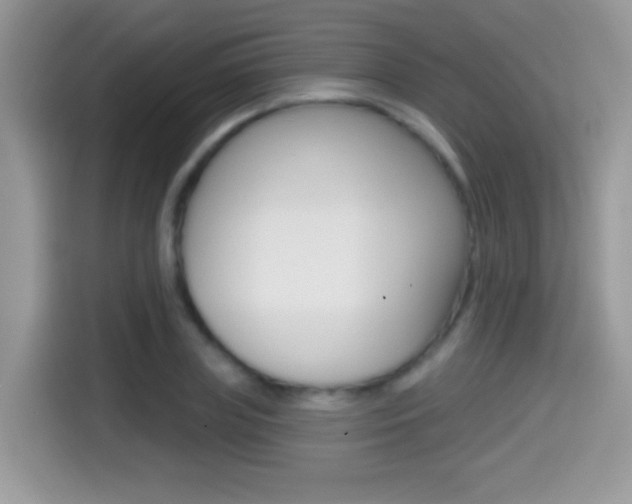 X0000114440835200910161050