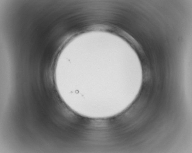 X0000114440836200910161050