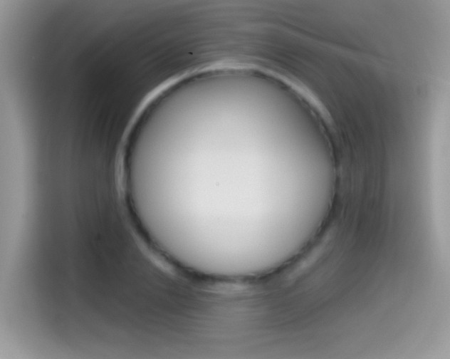 X0000114440838200910161050