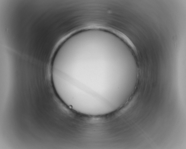X0000114440839200910161050