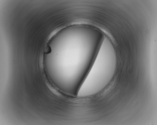 X0000114440842200910161050
