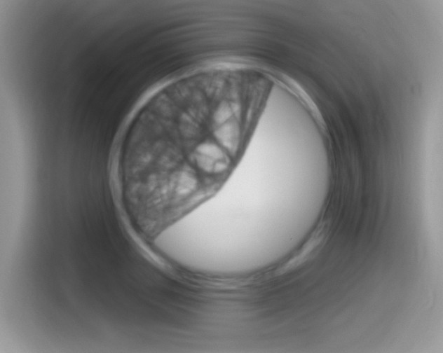 X0000114440843200910161050
