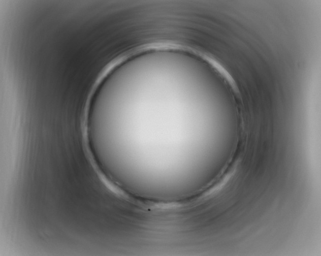 X0000114440845200910161050