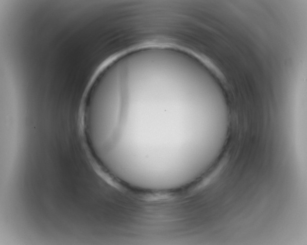 X0000114440846200910161050