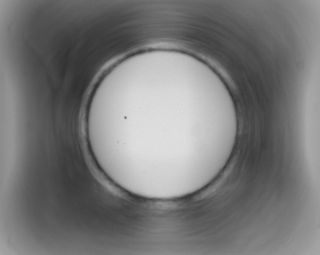 X0000114440848200910161050
