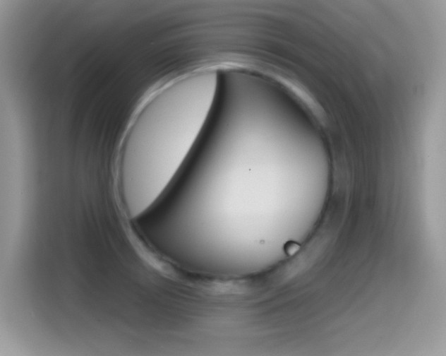 X0000114440850200910161050