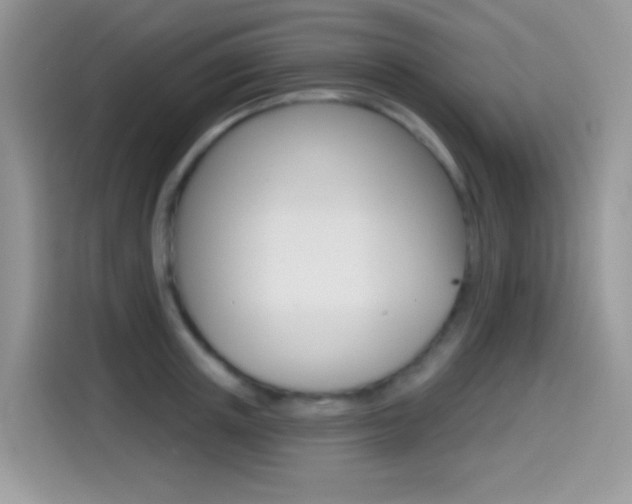 X0000114440851200910161050