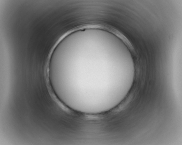 X0000114440852200910161050
