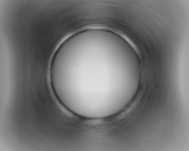 X0000114440853200910161050