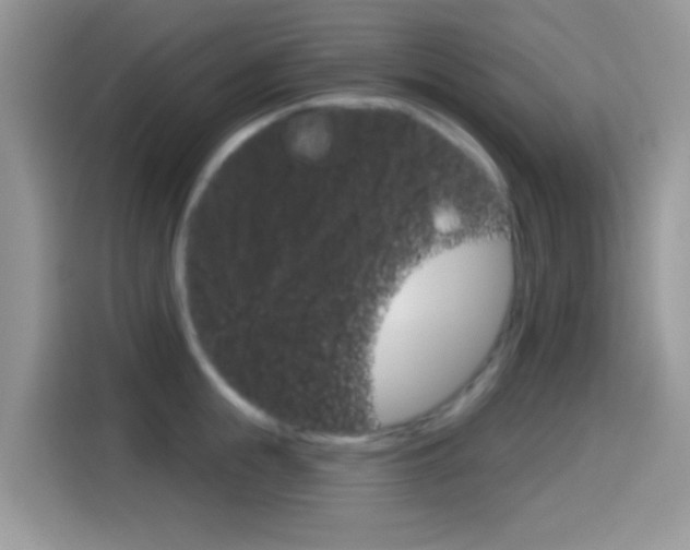 X0000114440855200910161050