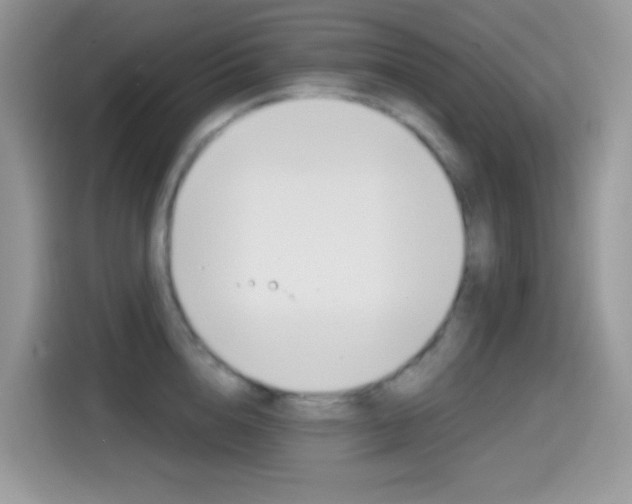 X0000114440856200910161050
