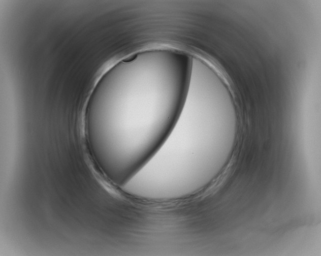 X0000114440858200910161051