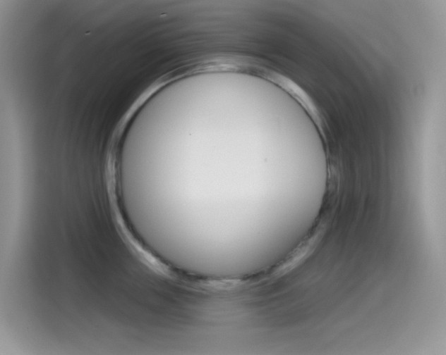 X0000114440859200910161051