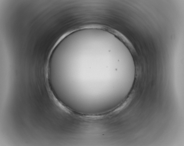 X0000114440860200910161051