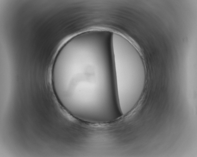 X0000114440862200910161051
