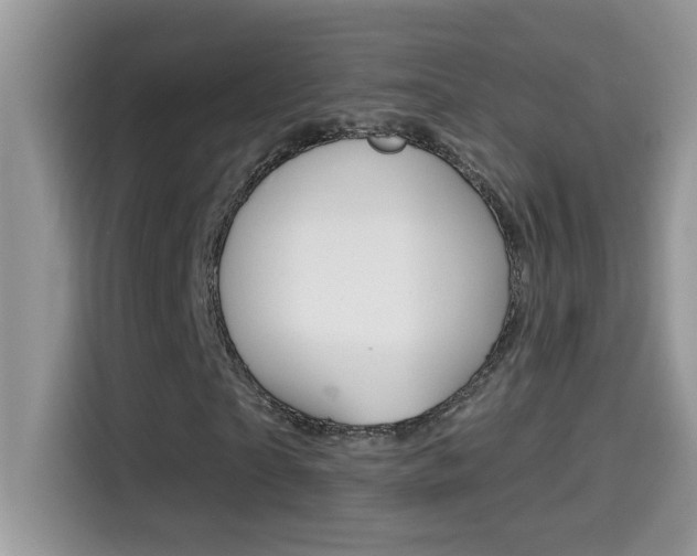 X0000114440865200910161050