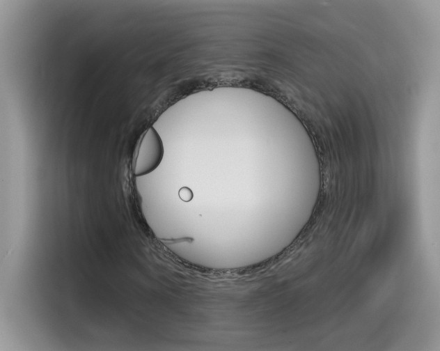 X0000114440866200910161050