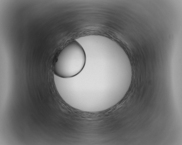 X0000114440868200910161050