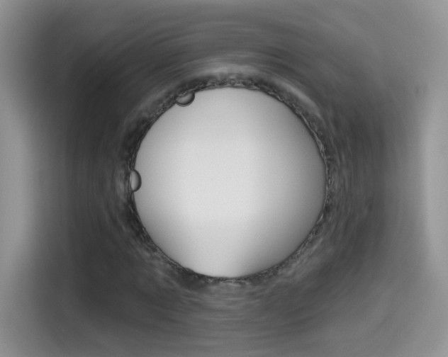 X0000114440869200910161050