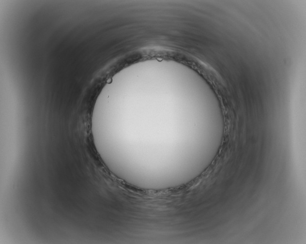 X0000114440870200910161050