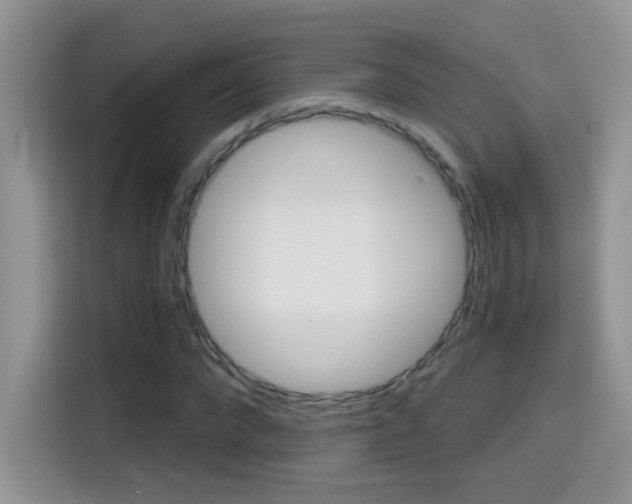 X0000114440872200910161050