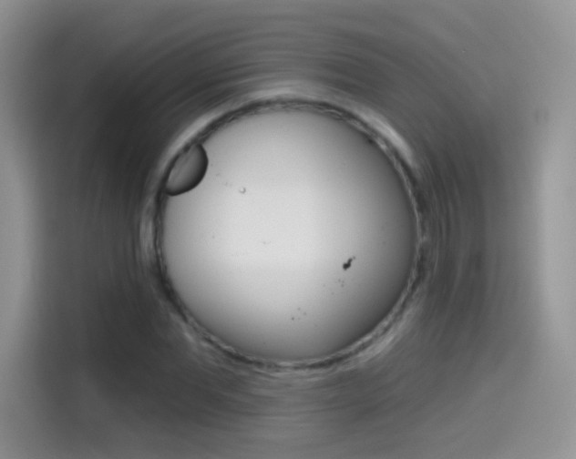 X0000114440877200910161050