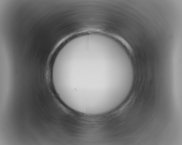 X0000114440878200910161050