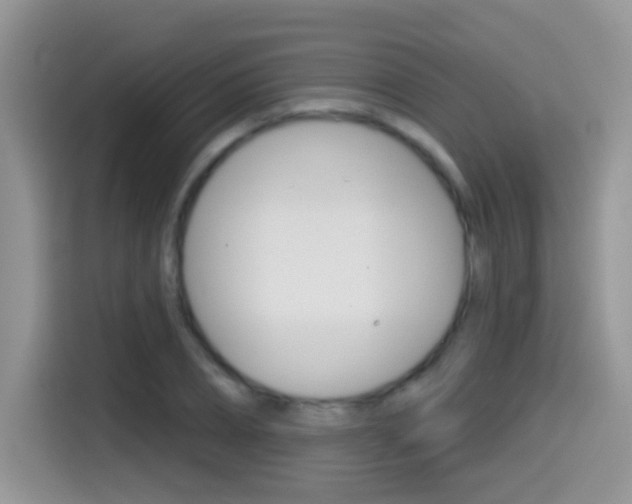 X0000114440882200910161050
