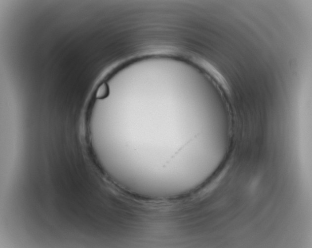 X0000114440883200910161050