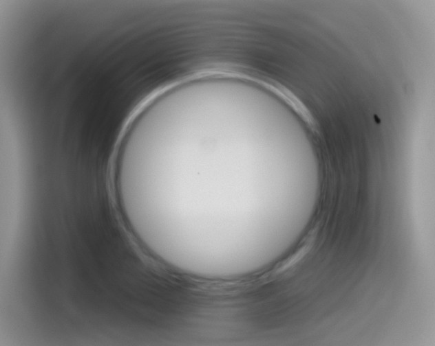 X0000114440885200910161050