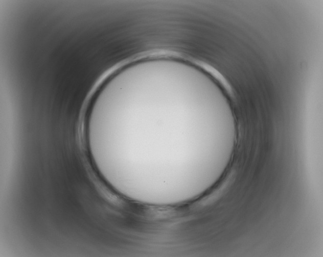 X0000114440886200910161050