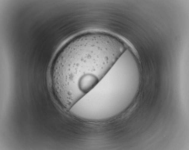 X0000114440887200910161050