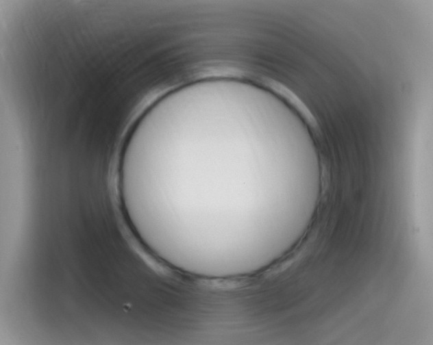 X0000114440890200910161050