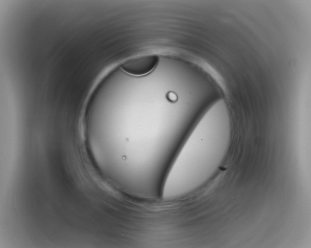 X0000114440891200910161050