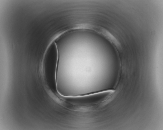X0000114440892200910161050