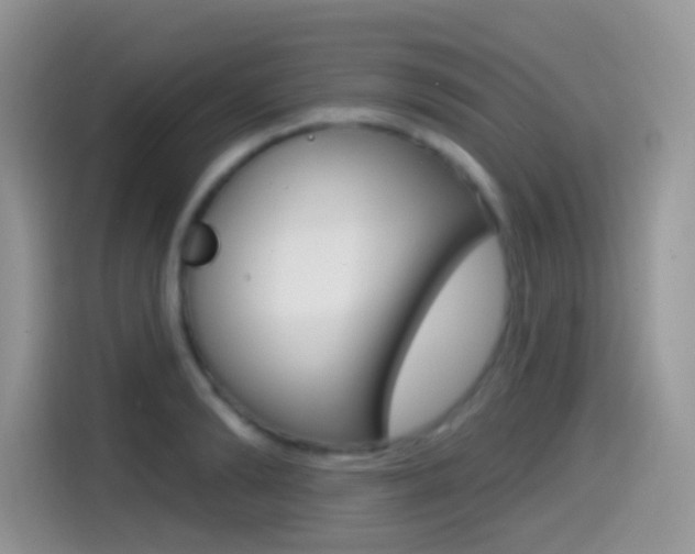 X0000114440894200910161050