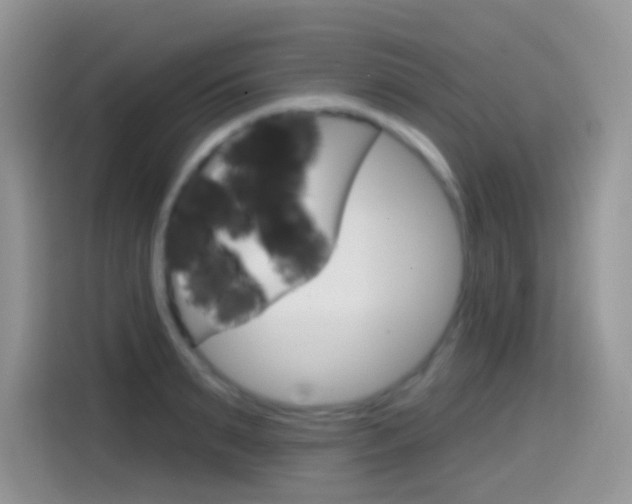 X0000114440895200910161050
