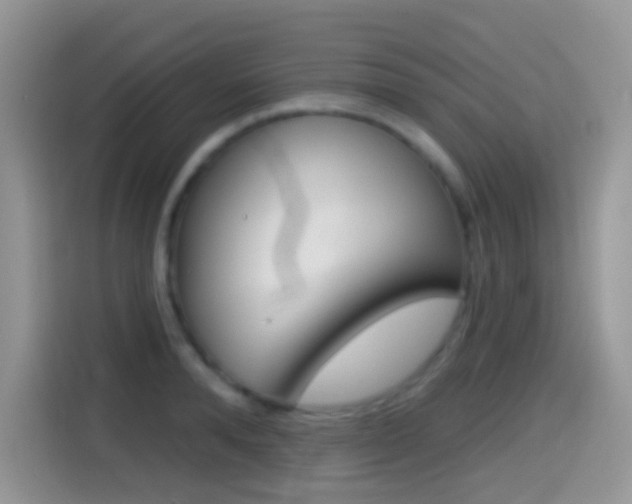 X0000114440896200910161050