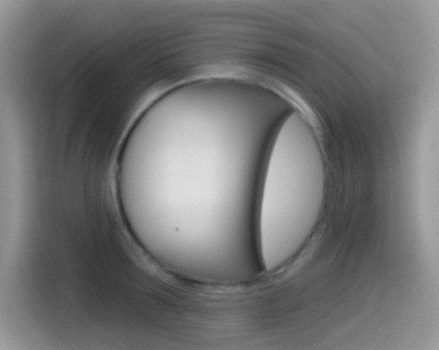 X0000114440899200910161050