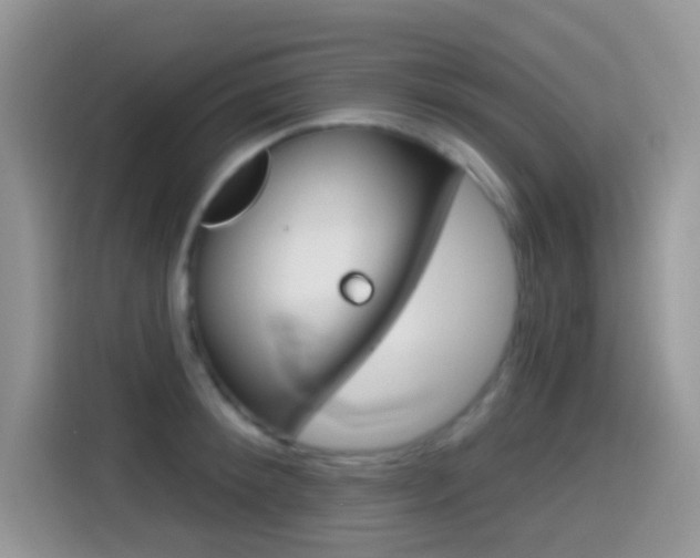 X0000114440900200910161050