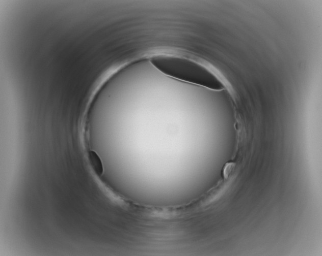 X0000114440901200910161049