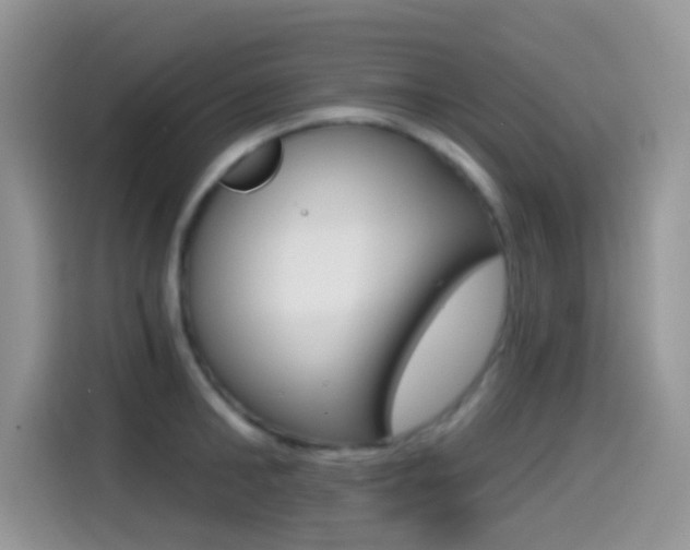 X0000114440902200910161049