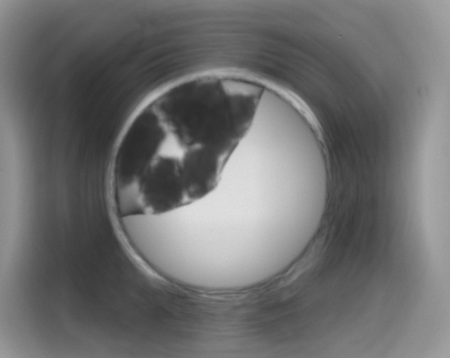 X0000114440903200910161049