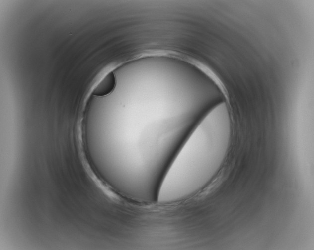 X0000114440906200910161049