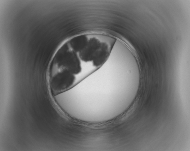 X0000114440907200910161049