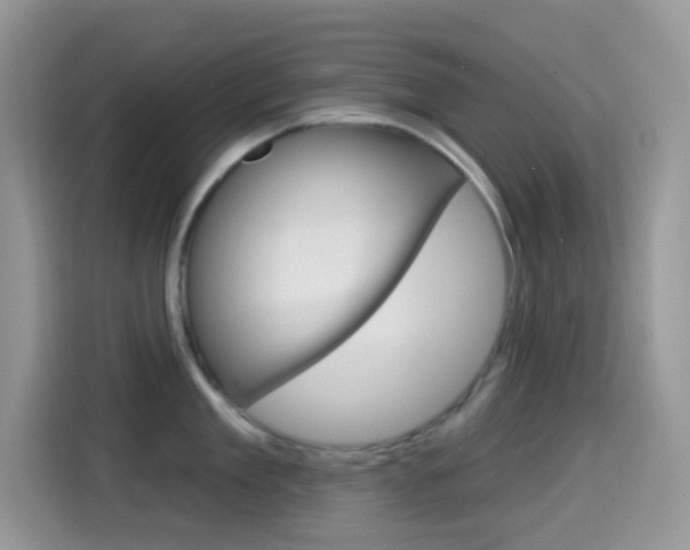 X0000114440909200910161049