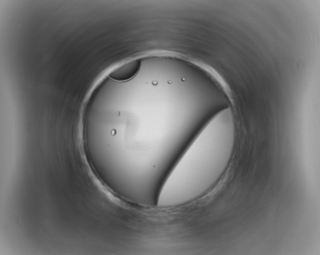 X0000114440910200910161049