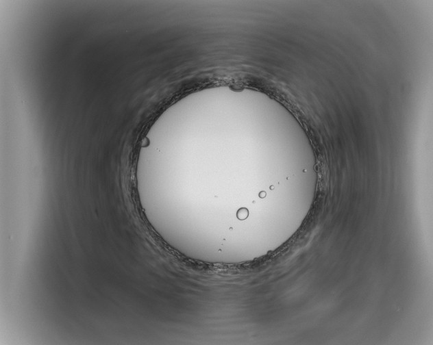X0000114440913200910161049