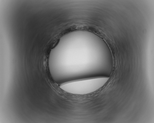 X0000114440914200910161049