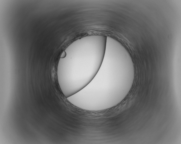 X0000114440915200910161049